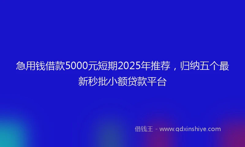 急用钱借款5000元短期2025年推荐，归纳五个最新秒批小额贷款平台
