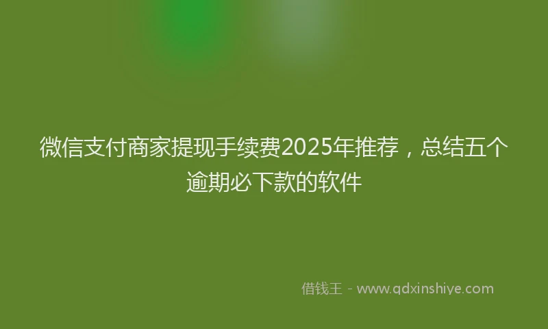 微信支付商家提现手续费2025年推荐，总结五个逾期必下款的软件