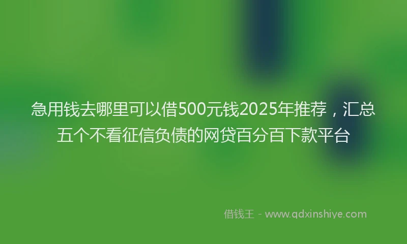 急用钱去哪里可以借500元钱2025年推荐，汇总五个不看征信负债的网贷百分百下款平台