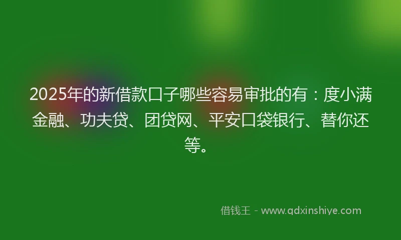 2025年的新借款口子哪些容易审批的有：度小满金融、功夫贷、团贷网、平安口袋银行、替你还等。