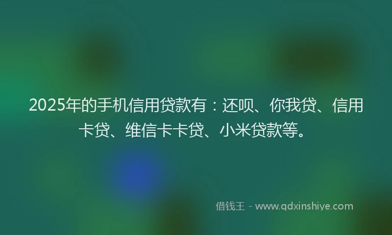 2025年的手机信用贷款有：还呗、你我贷、信用卡贷、维信卡卡贷、小米贷款等。