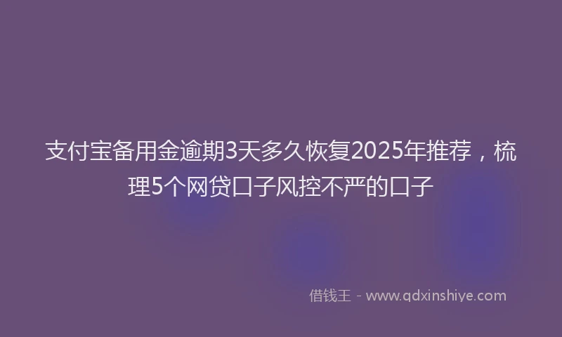 支付宝备用金逾期3天多久恢复2025年推荐，梳理5个网贷口子风控不严的口子