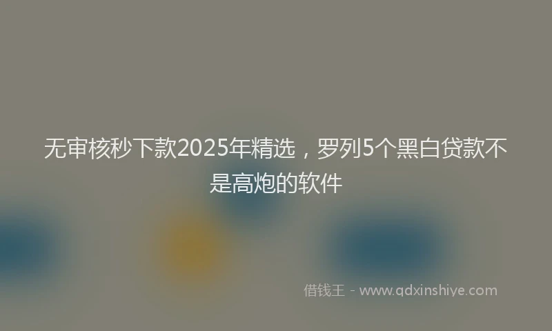 无审核秒下款2025年精选，罗列5个黑白贷款不是高炮的软件