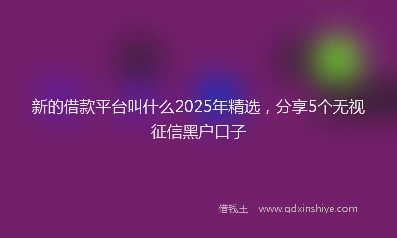 新的借款平台叫什么2025年精选，分享5个无视征信黑户口子