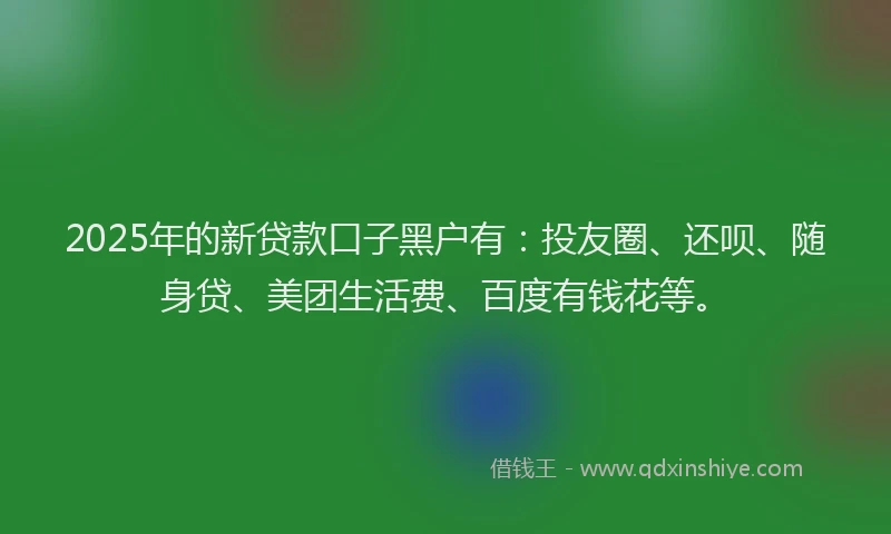 2025年的新贷款口子黑户有：投友圈、还呗、随身贷、美团生活费、百度有钱花等。