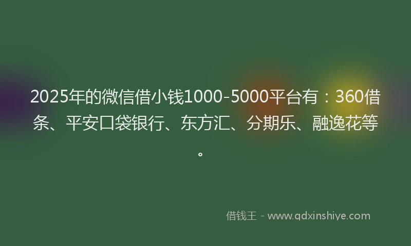 2025年的微信借小钱1000-5000平台有：360借条、平安口袋银行、东方汇、分期乐、融逸花等。