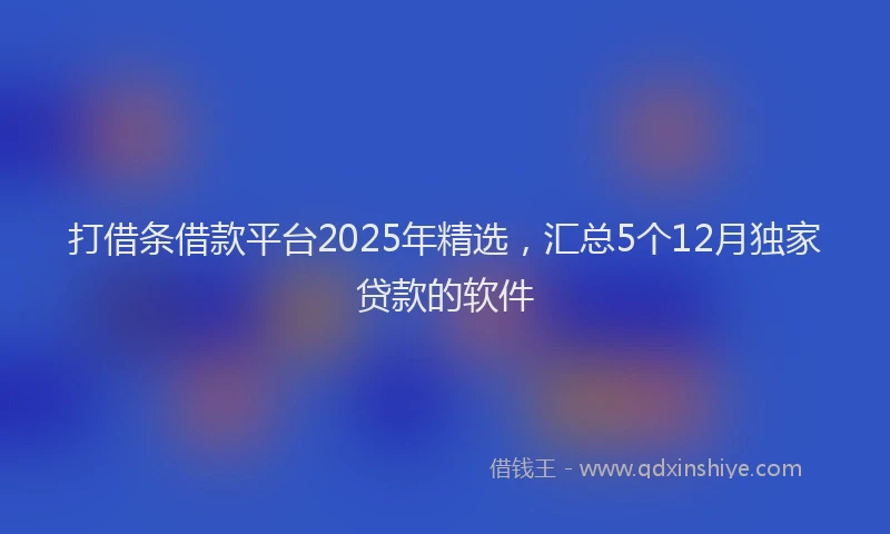 打借条借款平台2025年精选，汇总5个12月独家贷款的软件