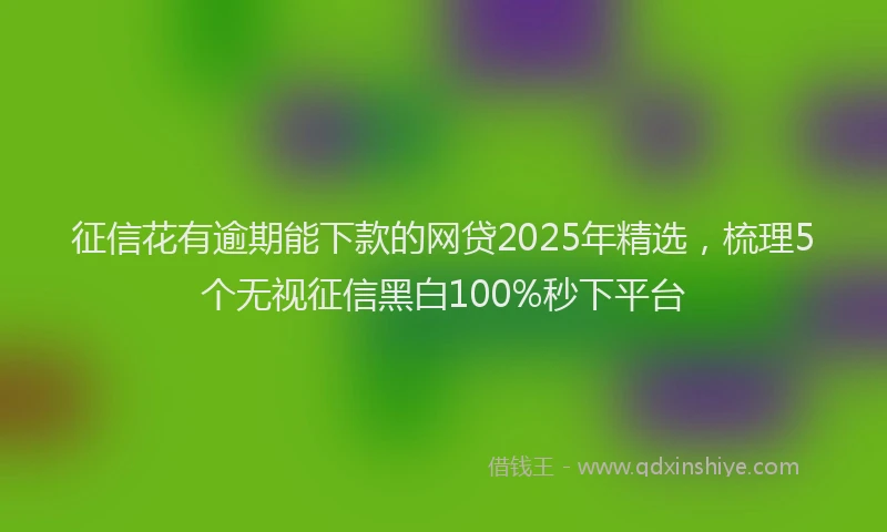 征信花有逾期能下款的网贷2025年精选，梳理5个无视征信黑白100%秒下平台