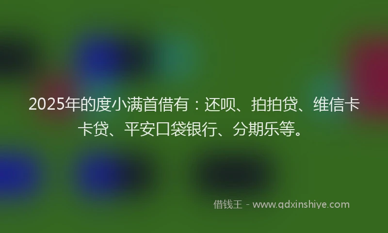 2025年的度小满首借有：还呗、拍拍贷、维信卡卡贷、平安口袋银行、分期乐等。