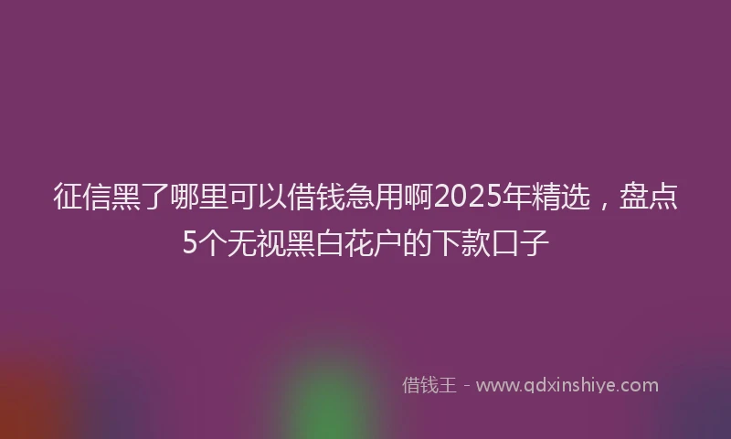 征信黑了哪里可以借钱急用啊2025年精选，盘点5个无视黑白花户的下款口子