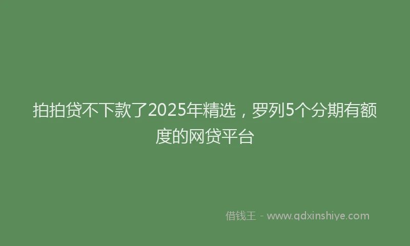 拍拍贷不下款了2025年精选，罗列5个分期有额度的网贷平台