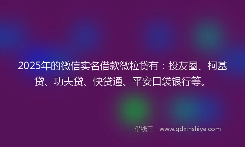 2025年的微信实名借款微粒贷有：投友圈、柯基贷、功夫贷、快贷通、平安口袋银行等。