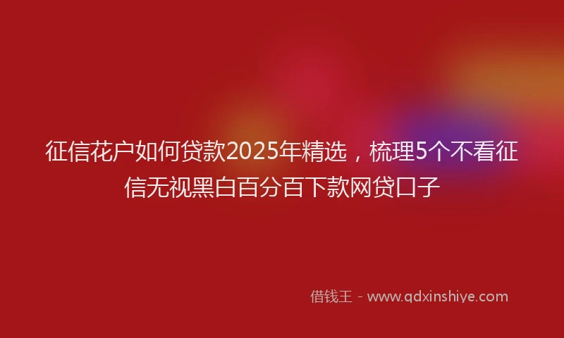 征信花户如何贷款2025年精选，梳理5个不看征信无视黑白百分百下款网贷口子