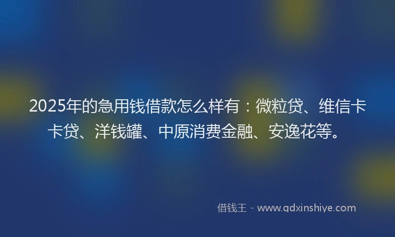 2025年的急用钱借款怎么样有：微粒贷、维信卡卡贷、洋钱罐、中原消费金融、安逸花等。