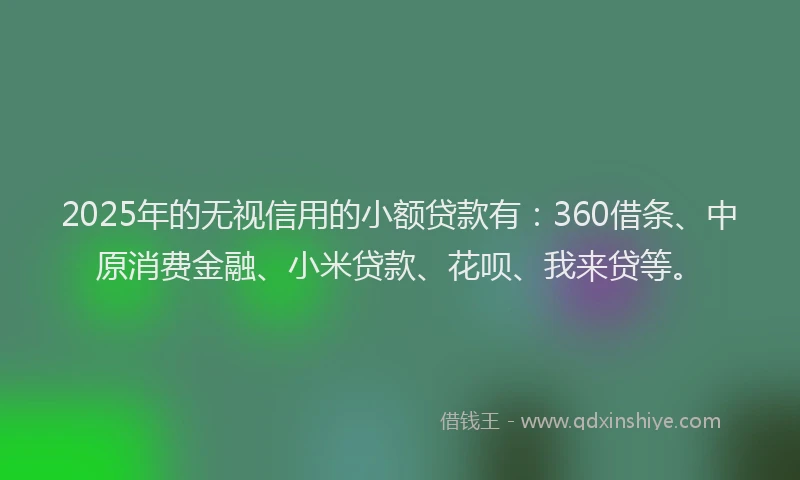 2025年的无视信用的小额贷款有：360借条、中原消费金融、小米贷款、花呗、我来贷等。