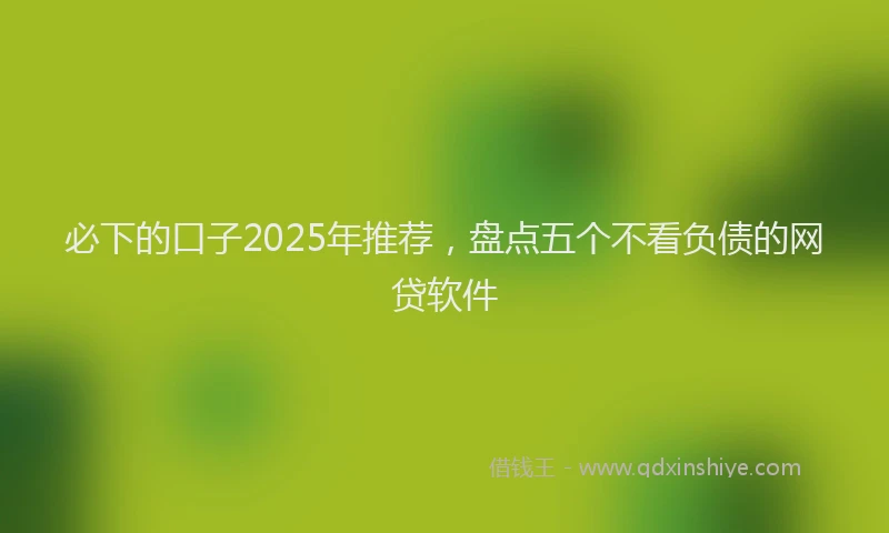 必下的口子2025年推荐，盘点五个不看负债的网贷软件
