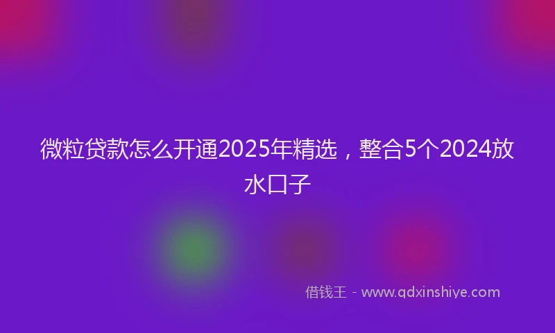 微粒贷款怎么开通2025年精选，整合5个2024放水口子