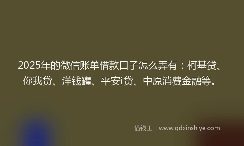 2025年的微信账单借款口子怎么弄有：柯基贷、你我贷、洋钱罐、平安i贷、中原消费金融等。