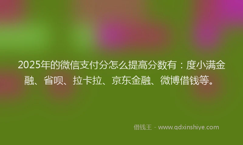 2025年的微信支付分怎么提高分数有：度小满金融、省呗、拉卡拉、京东金融、微博借钱等。
