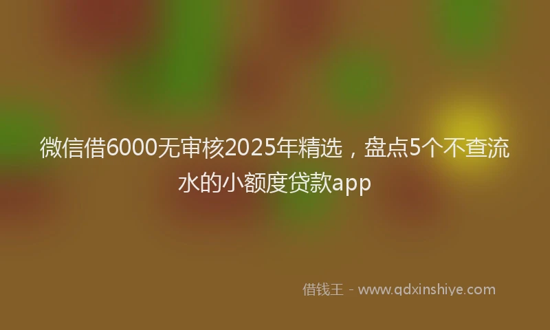 微信借6000无审核2025年精选，盘点5个不查流水的小额度贷款app