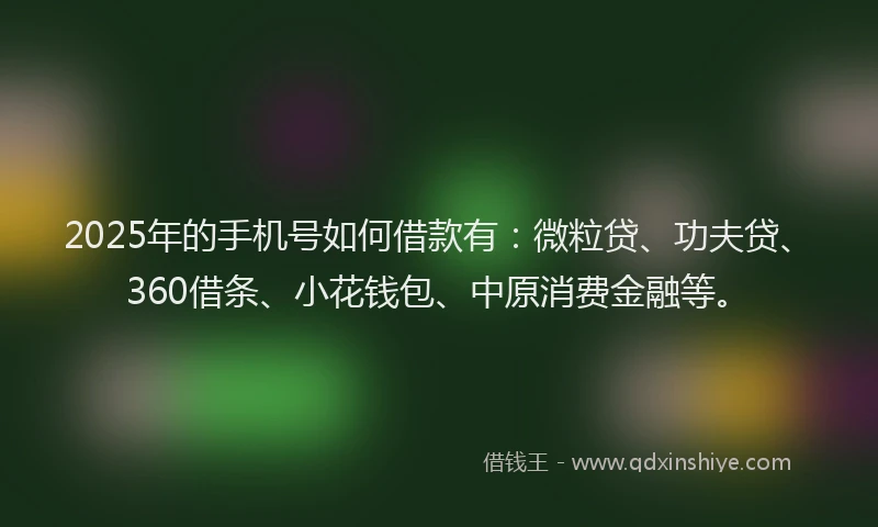 2025年的手机号如何借款有：微粒贷、功夫贷、360借条、小花钱包、中原消费金融等。
