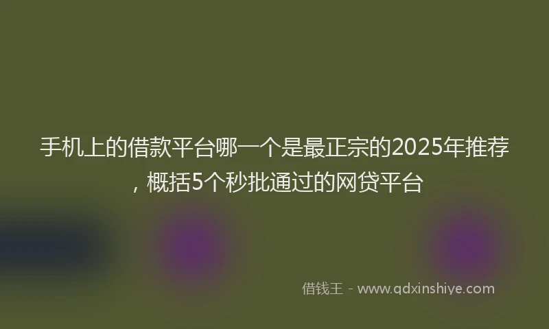 手机上的借款平台哪一个是最正宗的2025年推荐，概括5个秒批通过的网贷平台