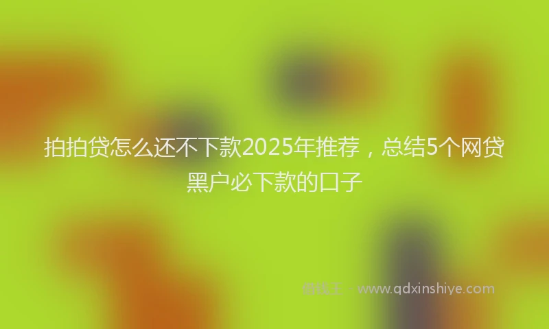 拍拍贷怎么还不下款2025年推荐，总结5个网贷黑户必下款的口子