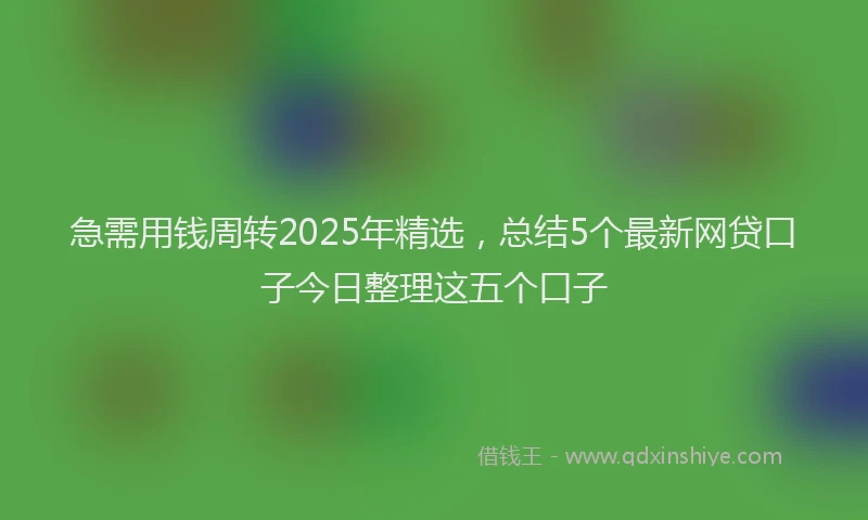 急需用钱周转2025年精选，总结5个最新网贷口子今日整理这五个口子