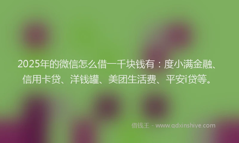 2025年的微信怎么借一千块钱有：度小满金融、信用卡贷、洋钱罐、美团生活费、平安i贷等。
