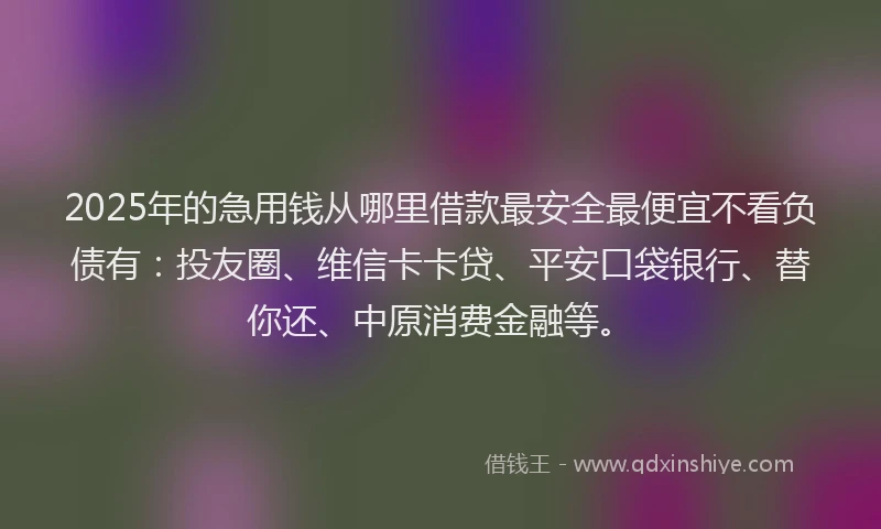2025年的急用钱从哪里借款最安全最便宜不看负债有：投友圈、维信卡卡贷、平安口袋银行、替你还、中原消费金融等。