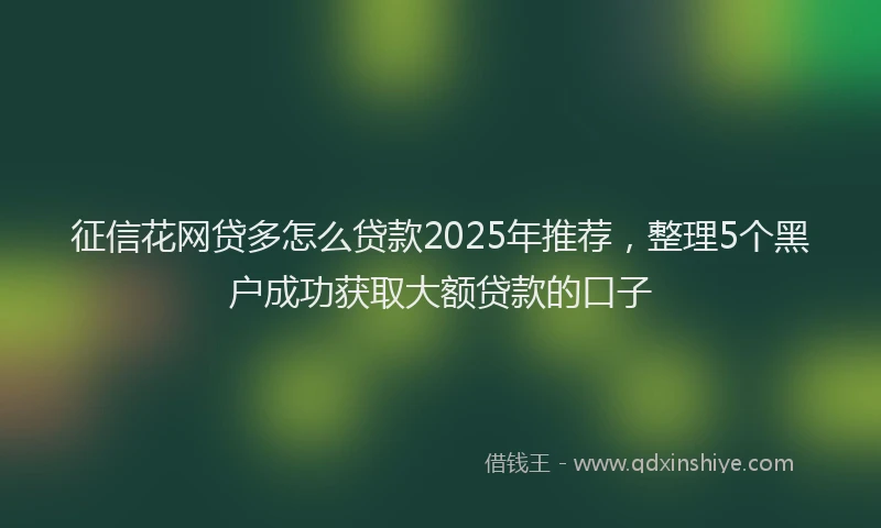 征信花网贷多怎么贷款2025年推荐，整理5个黑户成功获取大额贷款的口子