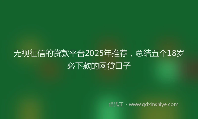 无视征信的贷款平台2025年推荐，总结五个18岁必下款的网贷口子