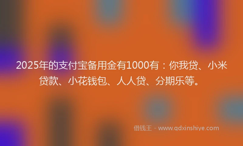 2025年的支付宝备用金有1000有：你我贷、小米贷款、小花钱包、人人贷、分期乐等。