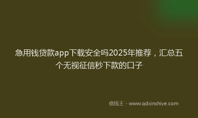 急用钱贷款app下载安全吗2025年推荐，汇总五个无视征信秒下款的口子