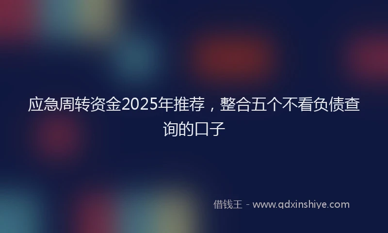 应急周转资金2025年推荐，整合五个不看负债查询的口子