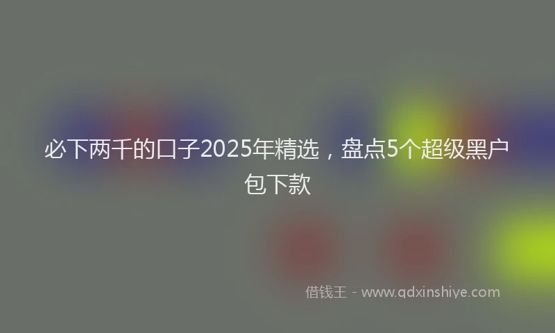 必下两千的口子2025年精选，盘点5个超级黑户包下款