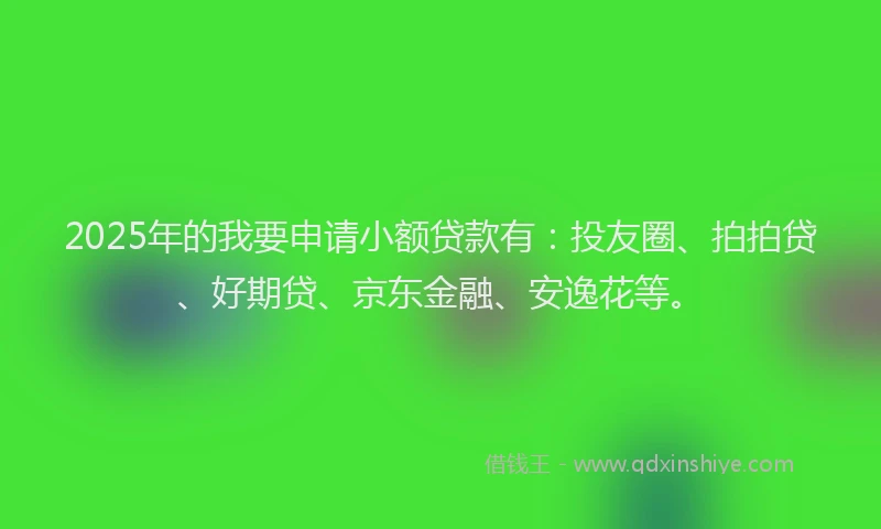 2025年的我要申请小额贷款有：投友圈、拍拍贷、好期贷、京东金融、安逸花等。