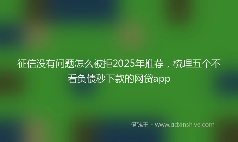 征信没有问题怎么被拒2025年推荐，梳理五个不看负债秒下款的网贷app