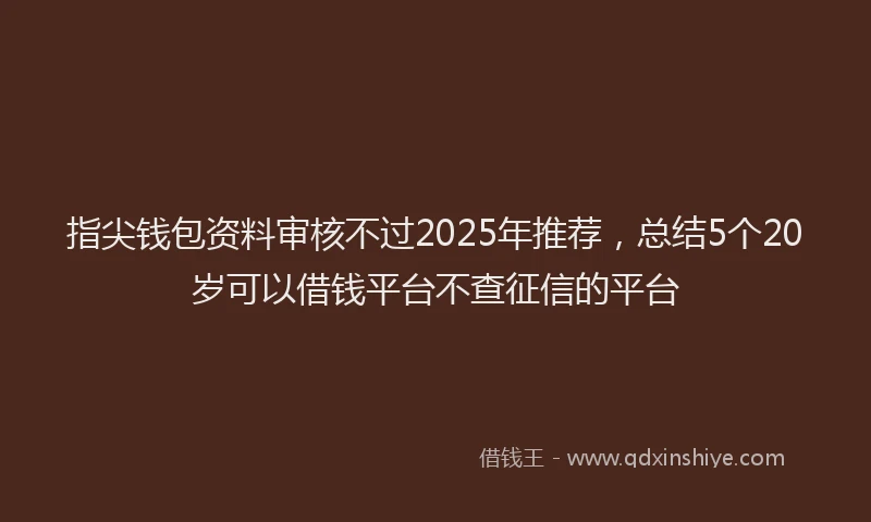 指尖钱包资料审核不过2025年推荐，总结5个20岁可以借钱平台不查征信的平台
