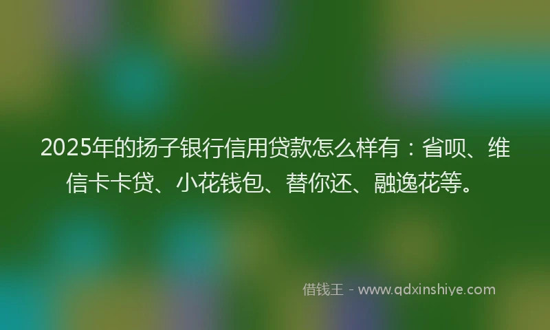 2025年的扬子银行信用贷款怎么样有：省呗、维信卡卡贷、小花钱包、替你还、融逸花等。
