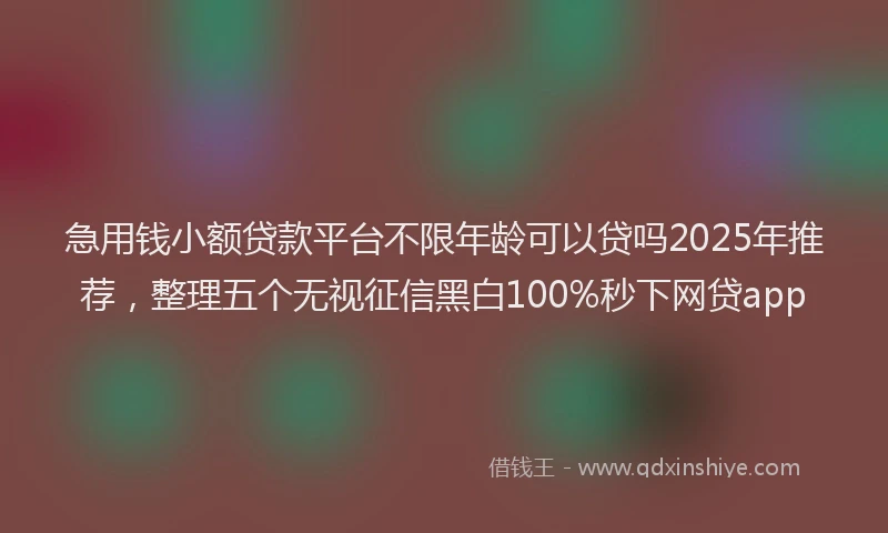 急用钱小额贷款平台不限年龄可以贷吗2025年推荐，整理五个无视征信黑白100%秒下网贷app