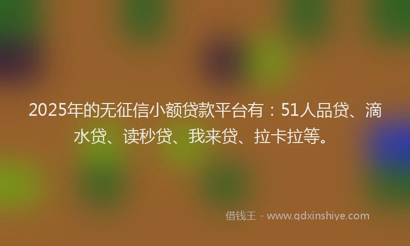 2025年的无征信小额贷款平台有：51人品贷、滴水贷、读秒贷、我来贷、拉卡拉等。