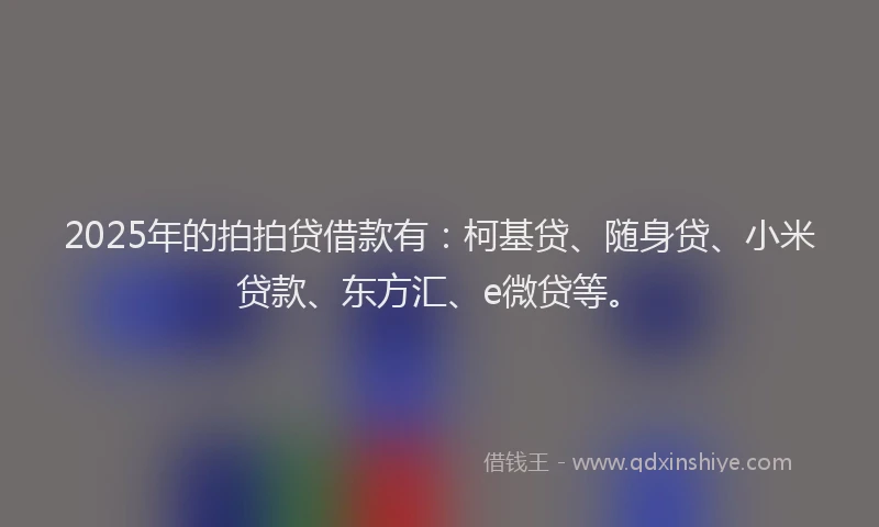 2025年的拍拍贷借款有：柯基贷、随身贷、小米贷款、东方汇、e微贷等。
