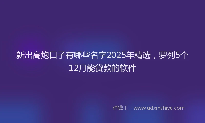 新出高炮口子有哪些名字2025年精选，罗列5个12月能贷款的软件