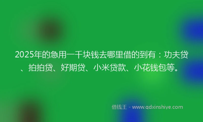 2025年的急用一千块钱去哪里借的到有：功夫贷、拍拍贷、好期贷、小米贷款、小花钱包等。