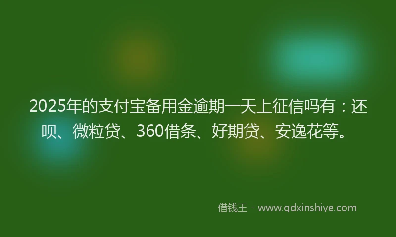 2025年的支付宝备用金逾期一天上征信吗有：还呗、微粒贷、360借条、好期贷、安逸花等。
