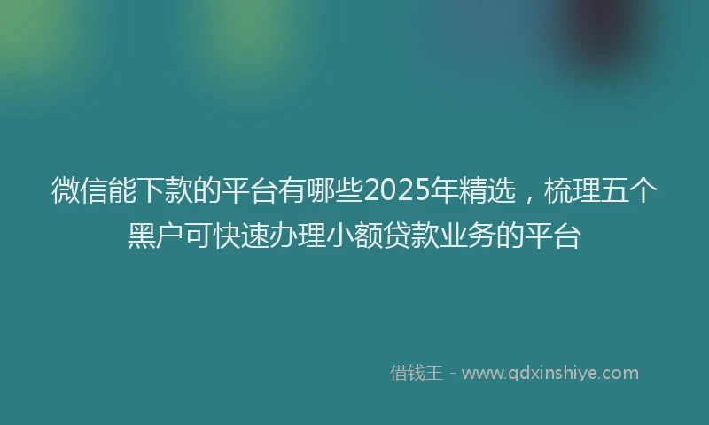 微信能下款的平台有哪些2025年精选，梳理五个黑户可快速办理小额贷款业务的平台