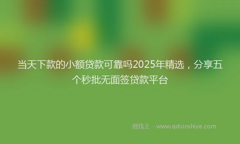 当天下款的小额贷款可靠吗2025年精选，分享五个秒批无面签贷款平台