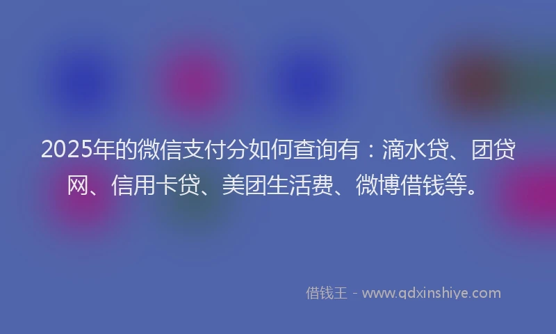 2025年的微信支付分如何查询有：滴水贷、团贷网、信用卡贷、美团生活费、微博借钱等。