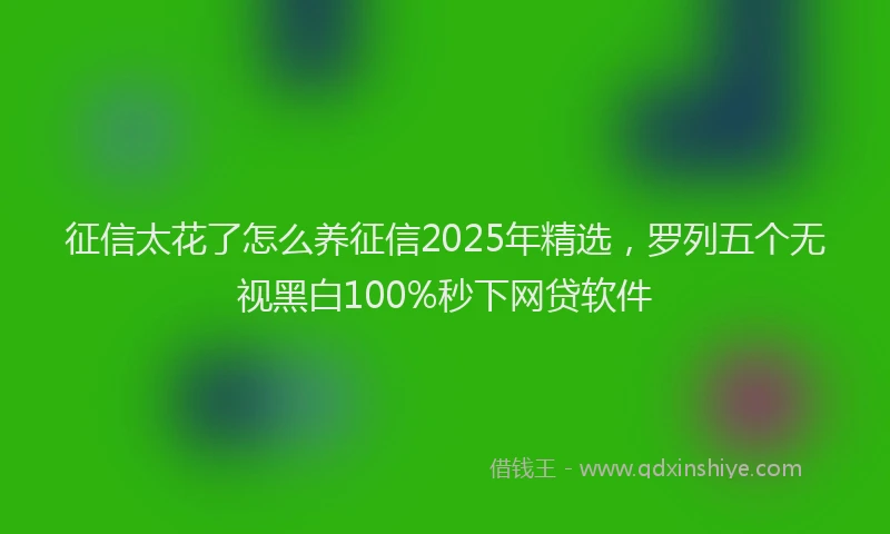 征信太花了怎么养征信2025年精选，罗列五个无视黑白100%秒下网贷软件